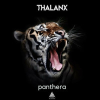 Thalanx - Panthera