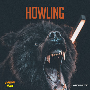 Various Artists - Howling