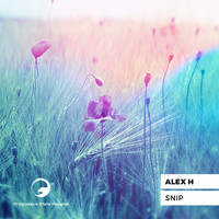 Alex H - Snip, Pt. 2