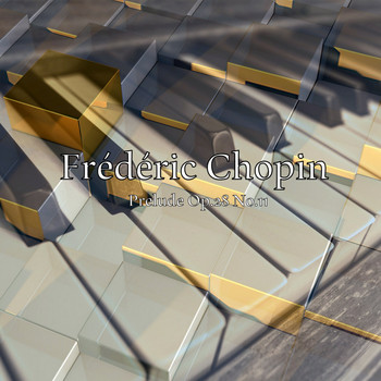 Classical Music Hits - Chopin: Prelude Op.28 No.11