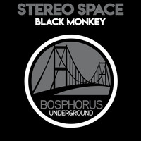 Stereo Space - Black Monkey