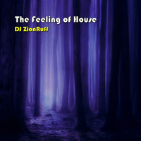 DJ zionruff - The Feeling of House