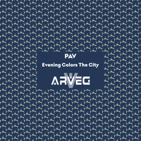 PAV - Evening Colors The City