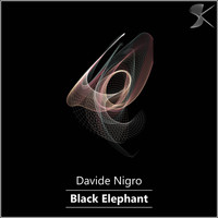 Davide Nigro - Black Elephant