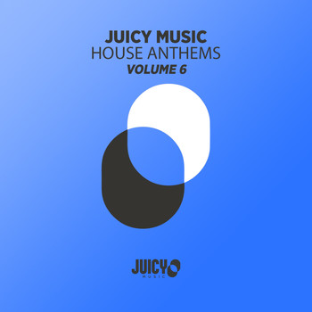 Various Artists - Juicy Music presents House Anthems, Vol. 6