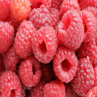 Vieira - Raspberries