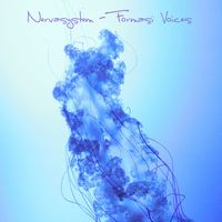 Nervasystem - Formasi Voices