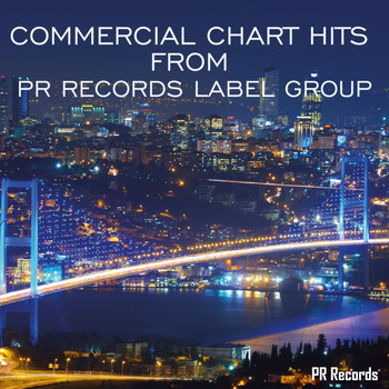 Various Artists - Commercial Chart Hits From PR Records Label Group