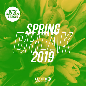 Various Artists - Spring Break 2019 (Best of Dance, House & Electro)