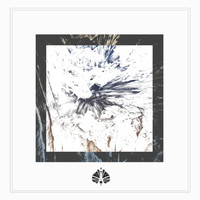 Dillard - Insight LP