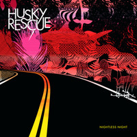 Husky Rescue - Nightless Night