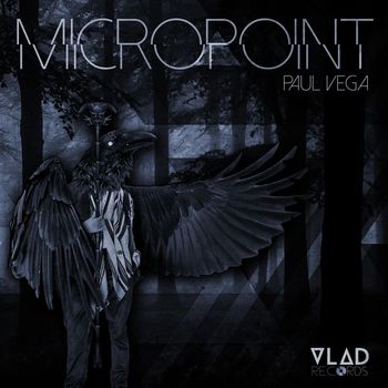 Paul Vega - Micropoint