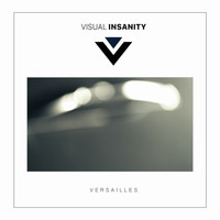 Visual Insanity - Versailles