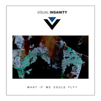 Visual Insanity - What if we could fly?