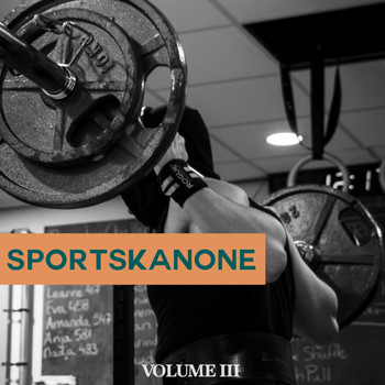 Various Artists - Sportskanone, Vol. 3 (Get In Shape Again. Perfect Motivation Sound For Your Workout)