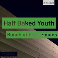 Bunch of Frequencies - Half Baked Youth