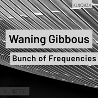 Bunch of Frequencies - Waning Gibbous