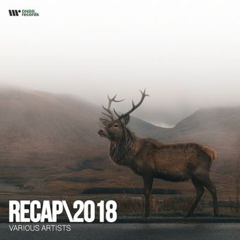 Various Artists - DNBB RECAP - 2018 (Best Tricks)