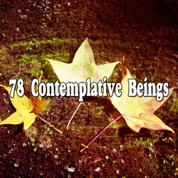 Brain Study Music Guys - 78 Contemplative Beings