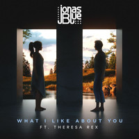 Jonas Blue - What I Like About You