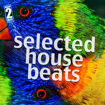 Various Artists - Selected House Beats (Explicit)