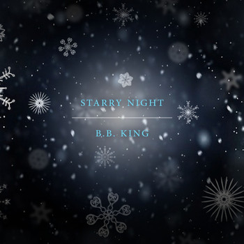 B.B. King - Starry Night
