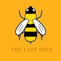 The Last Bees - Can't Wait