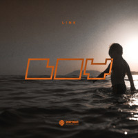 L!nk - Boy
