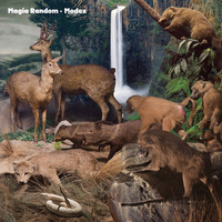 Modex - Magia Random