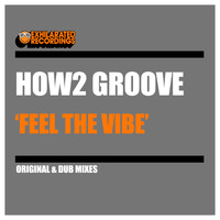How2 Groove - Feel The Vibe