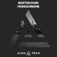 Boston Dusk - Monochrome