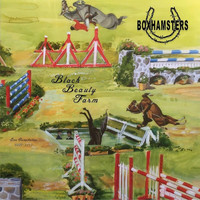 Boxhamsters - Black Beauty Farm