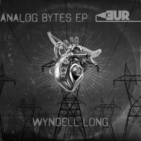 Wyndell Long - Analog Bytes