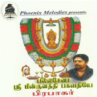 Prabhakar - Pallasena Sri Meenkulathi Bhagavathiye