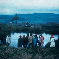 Wild Firth - Lawn Memory