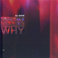 Ali Gatie - Why (Explicit)