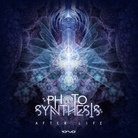 Photosynthesis - After Life