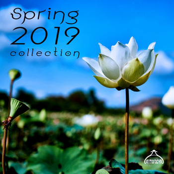 Various Artists - Spring 2019 Collection