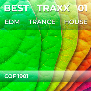 Various Artists - Best Traxx 01