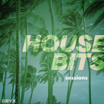 Various Artists - House Bits Sessions 5