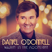 Daniel O'Donnell - Walkin' In the Moonlight
