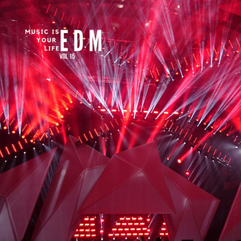 Various Artists - Music Is Your Life EDM, Vol.15