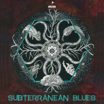Various Artists - Subterranean Blues
