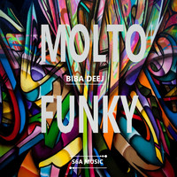 BIBA DEE J - Molto Funky (Explicit)