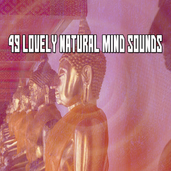 Brain Study Music Guys - 49 Lovely Natural Mind Sounds