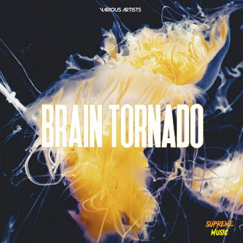 Various Artists - Brain Tornado