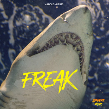 Various Artists - Freak