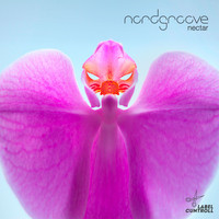 Nordgroove - Nectar