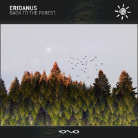 Eridanus - Back to the Forest