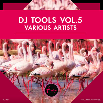 Various Artists - Flamingo DJ Tools vol.5